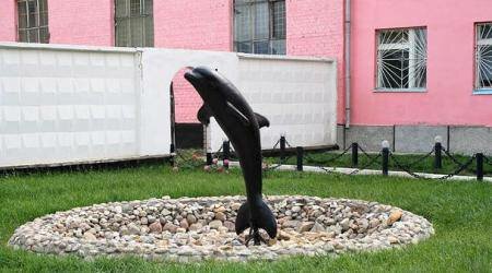 «Черный Дельфин» - исправительная колония № 6 г. Соль-Илецк Оренбургской области где заканчивается жизнь